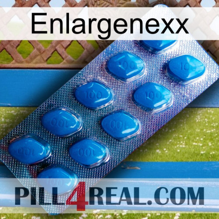 Enlargenexx viagra1
